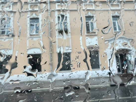 На следующей неделе в Тверской области несколько дней будет идти дождь