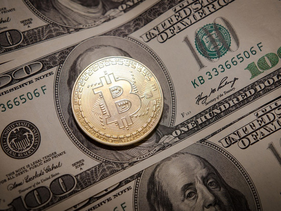 СМИ: ФНС могут назначить ответственной за регулирование отрасли криптовалют