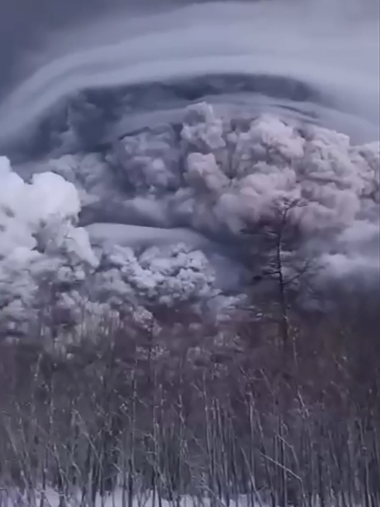 Камчатский вулкан Шивелуч выбросил столб пепла