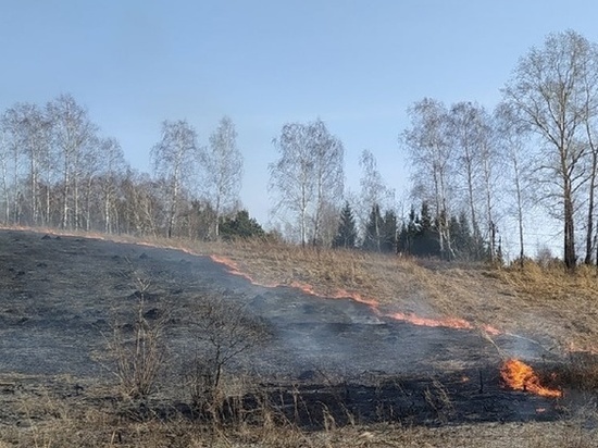Крупный пожар на мусорном полигоне тушат в Новосибирской области