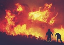 На территории Томской области продолжается повышенный уровень пожароопасности лесов: 4,8 балла