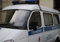 В Санкт-Петербурге мужчина избил свою сожительницу, после чего настиг ее в больнице и ударил  там потерпевшую ножом