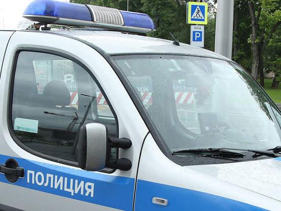 Полицейские Подмосковья задержали мужчину, ограбившего пенсионерку на 200 тысяч рублей