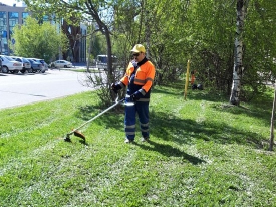 В Барнауле начали косить газоны