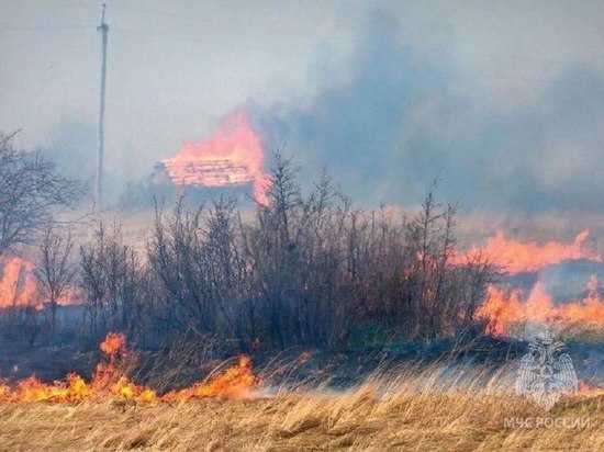 В Новгородской области с 16 мая начнется повышенный уровень пожароопасности