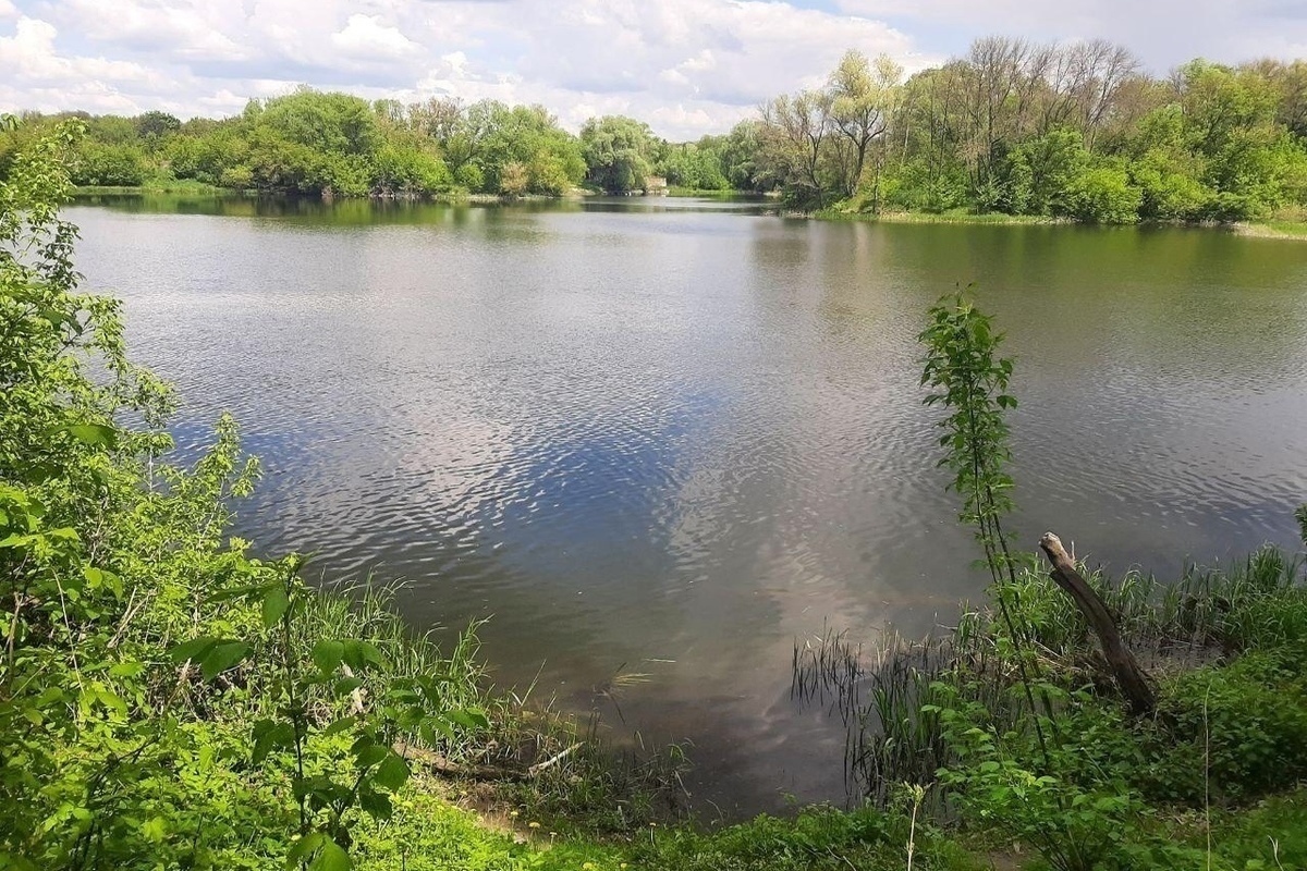 Курская область река сейм показать на карте. Река Сейм Карыж. Водопад река Сейм Курск. Сплав по Сейму Курская область.