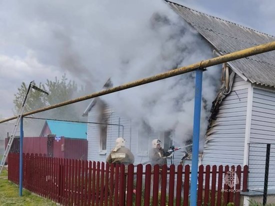В Курской области на прошлой неделе произошло 85 пожаров