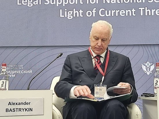 Северный намыв Петербурга снова проверят следователи