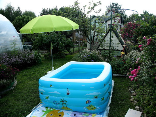 Жителям Подмосковья рассказали, на что обратить внимание при аренде дачи