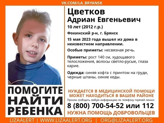 Пропавшего 10-летнего Адриана Цветкова ищут в Брянске