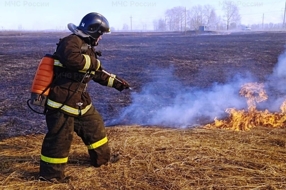 Противопожарный режим в Костромской области возвращается