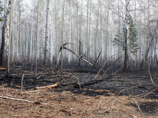 2 лесных пожара потушили в Чунском районе