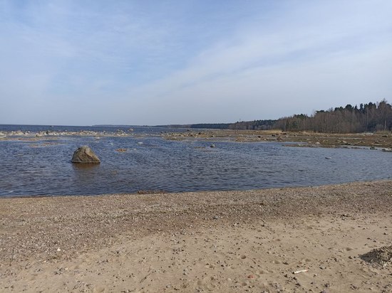 Один человек погиб на водоемах в Ленобласти с 10 мая