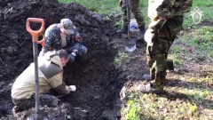 В Гатчине нашли место захоронения людей, расстрелянных во время Великой Отечественной войны