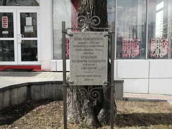 Хабаровский ясень в свои 112 лет претендует на звание «Деревого да»