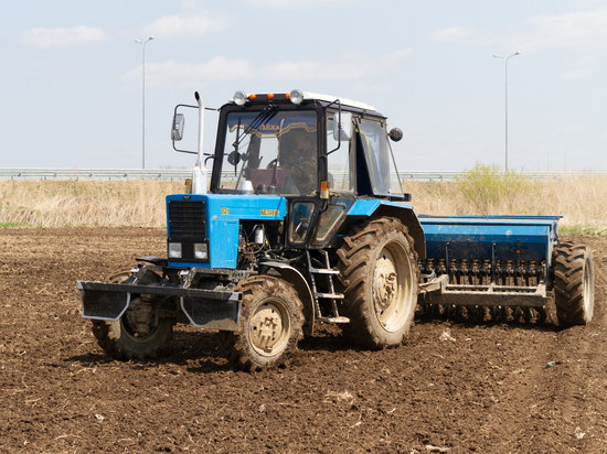 В Хабаровском крае стартовала посадка картофеля