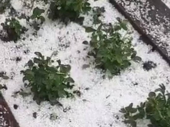 Крупный град побил огороды жителей Аксубаевского района