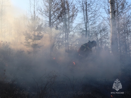 Житель Акшинского района не потушил костер и устроил лесной пожар