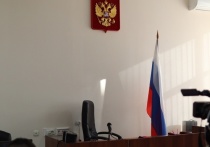 Женщина из Томска будет отбывать наказание за неуплату алиментов на содержание своих пяти несовершеннолетних сыновей