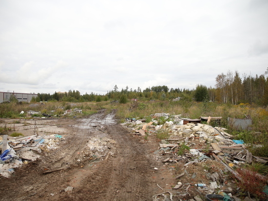Волонтеры убрали 16 кубометров мусора в Нехинском гаражном комплексе Великого Новгорода