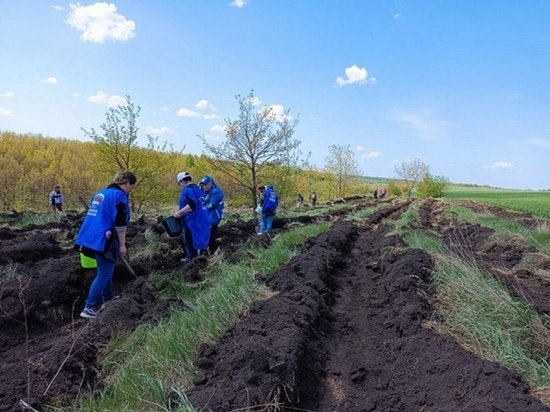 В Щигровском районе Курской области состоялась акция «Сад Памяти»