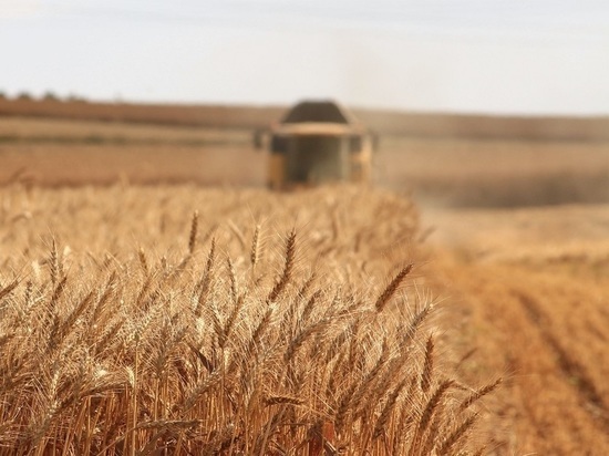 В рамках господдержки аграрии Смоленской области получат 58 млн рублей