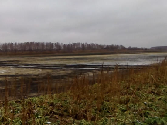 Под Новосибирском жители возмутились состоянием озера после чистки
