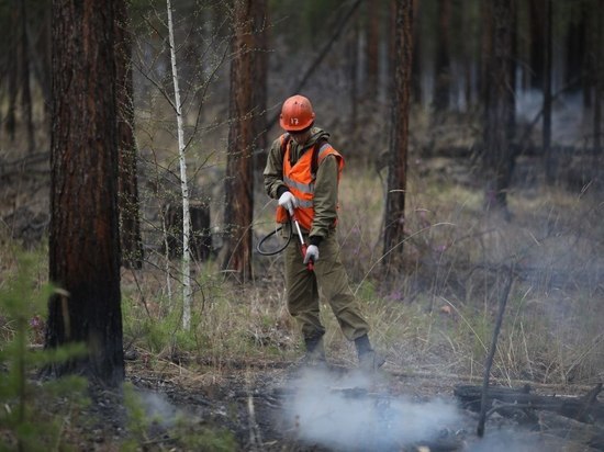  7 лесных пожаров потушили в Иркутской области