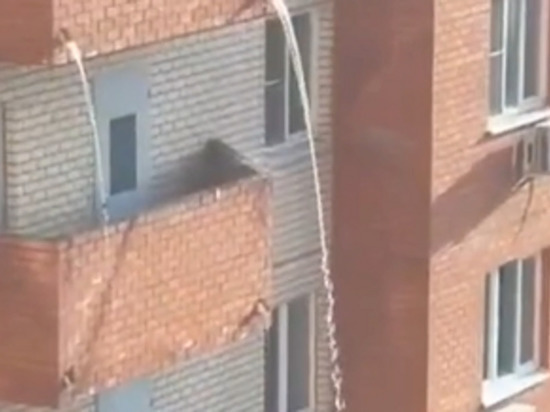 В Королёве затопило подъезд из-за срыва пожарного рукава