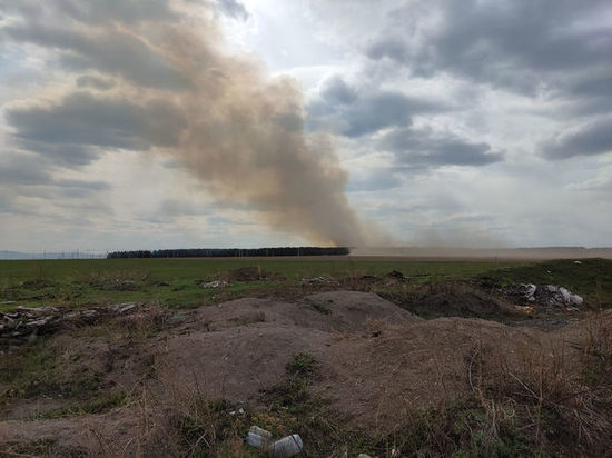 Крупный пожар охватил лесной участок в Кузбассе