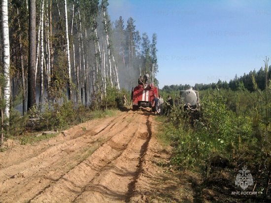 В лесу одного из районов Ивановской области случился пожар