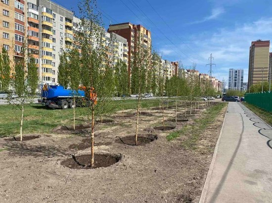 Тюмень озеленяется
