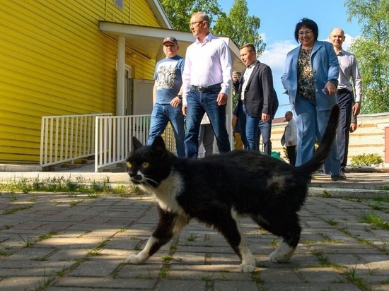 Калужского губернатора Шапшу в поездке встречают котики