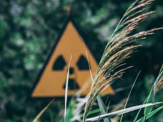 В канале "Яков Кедми" рассказал о скачках радиации в Польше после ударов РФ по Украине