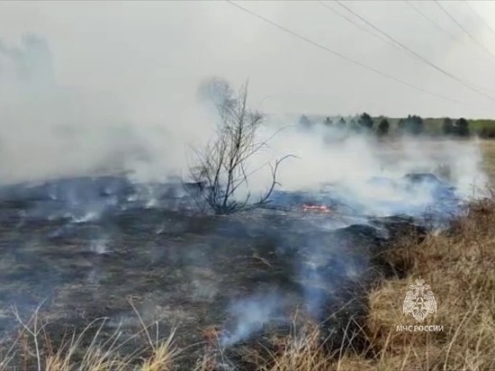 В ночь на среду красноярские пожарные потушили пожар около кладбища
