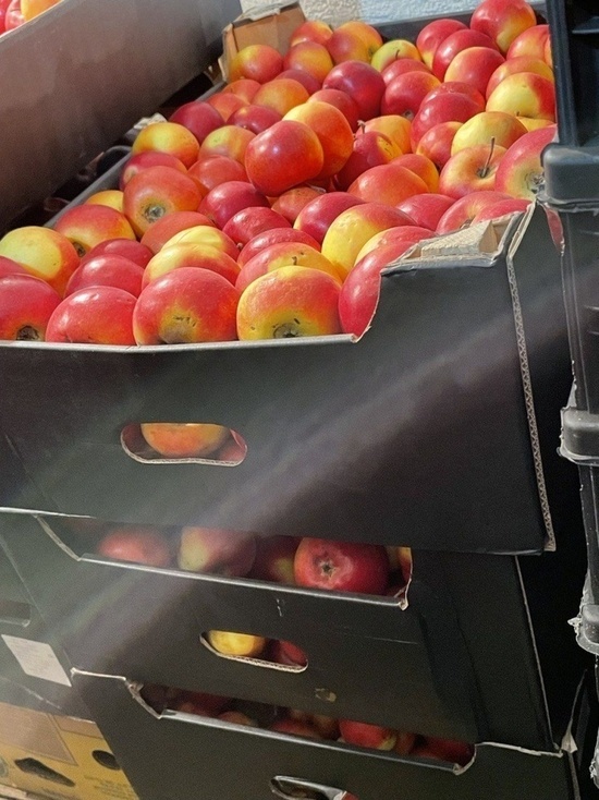 В Улан-Удэ уничтожили почти 40 кг вражеских яблок