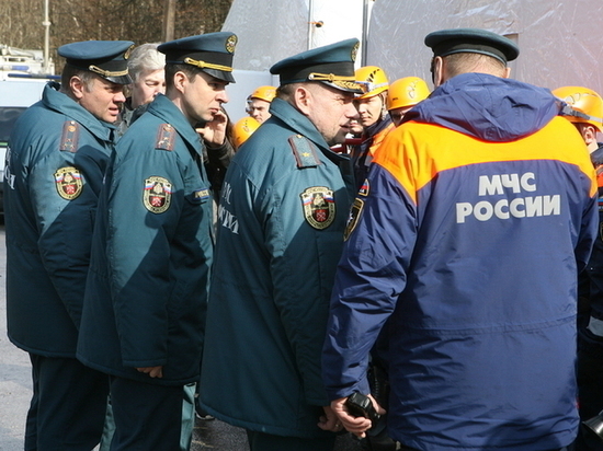 В Калининграде сотрудники МЧС спасли аиста