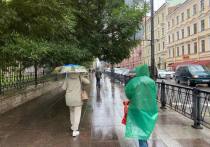 В Петербурге вечером 17 мая ожидается сильный дождь. Подробно о погоде рассказал главный синоптик города Александр Колесов в личном telegram-канале.