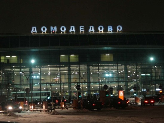 В аэропорту Домодедово таможенники отобрали у пассажирки радиоактивные шулерские карты
