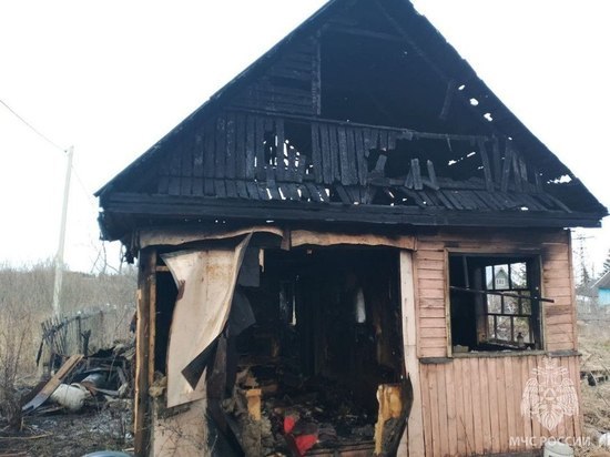 В Новгородской области в апреле сгорели два дома от пала сухой травы