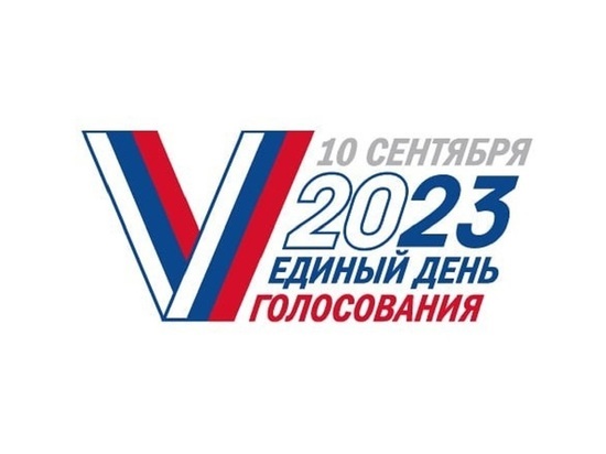 Памфилова представила новый логотип ЕДГ в виде буквы V в цветах российского флага