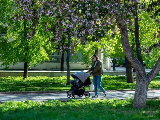 Гороскоп для всех знаков Зодиака на 19 мая 2023 года