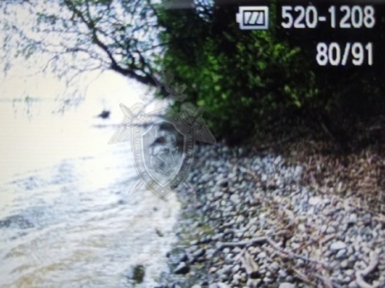 В Костромской области обнаружили тело утонувшего музыканта группы Cream Soda