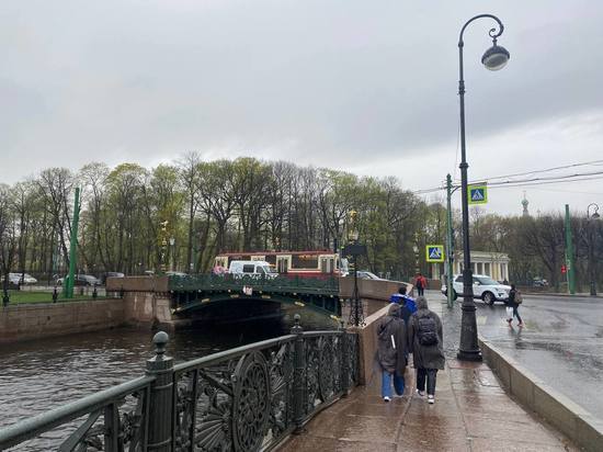 В Петербурге объявлен «желтый» уровень опасности из-за порывистого ветра