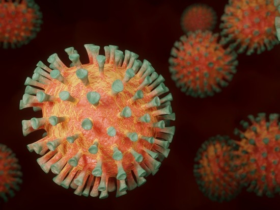 Лидером по числу заболевших коронавирусом в Ленобласти за сутки стал Выборгский район