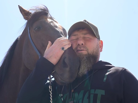 Глава Чечни Кадыров заявил, что не платил Украине за возвращение санкционной лошади