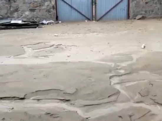 Дачи в СНТ «Цветущая Плющиха» в Новосибирске затопило вязкой глиной
