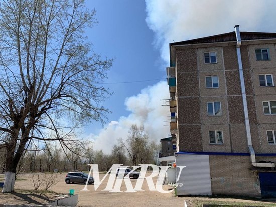 Пожар на Молоковке под Читой угрожает дачам, власти просят помощи добровольцев