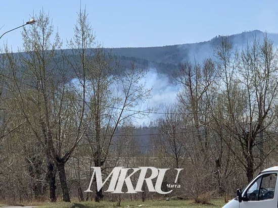 Лес и трава горят в районе Молоковки под Читой