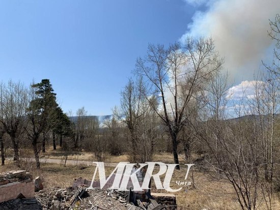 Лесной пожар в районе Молоковки в Чите распространился на 2 гектара